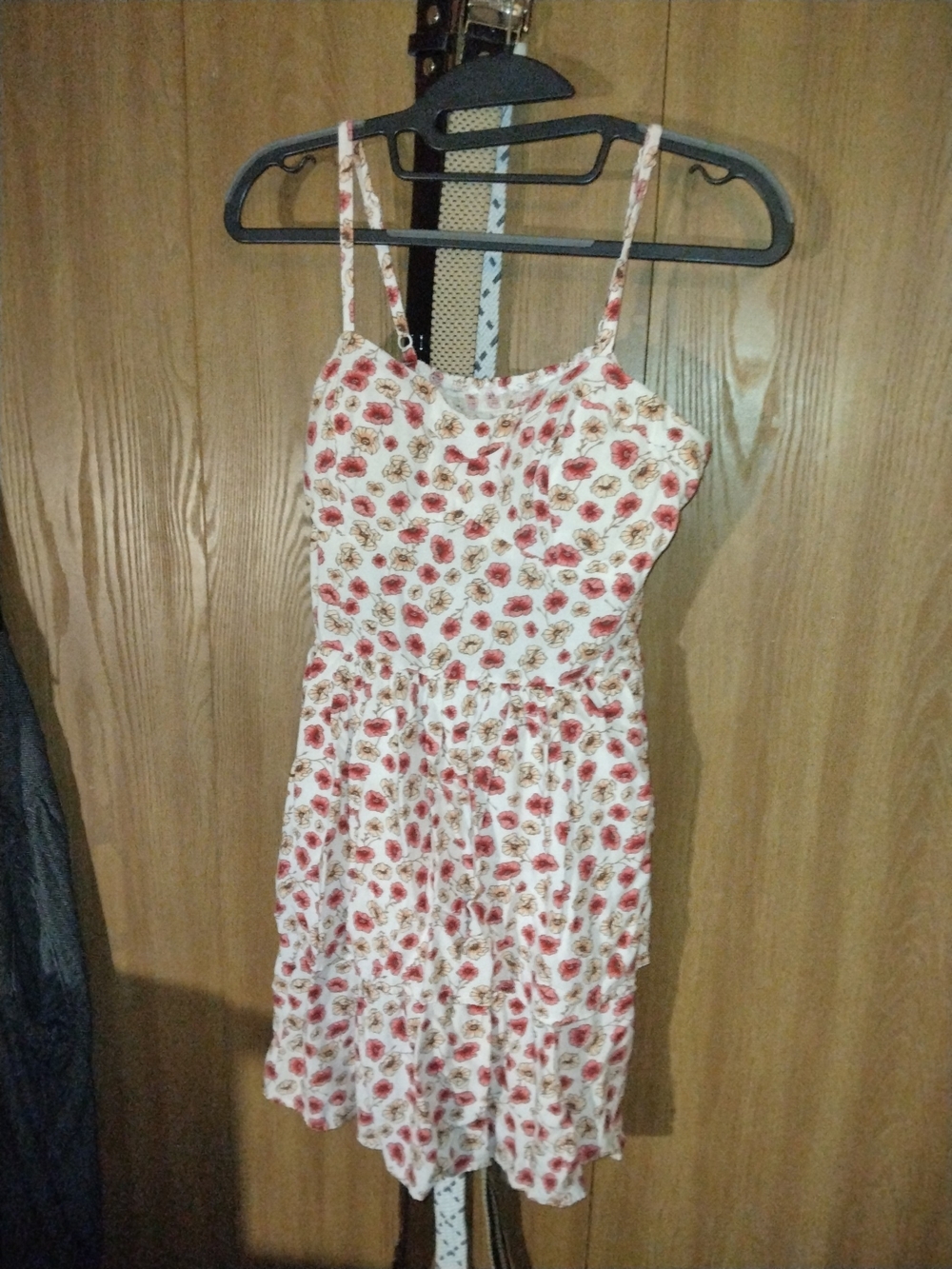Floral Spaghetti Strap Sundress in Cream and Red- Sm
